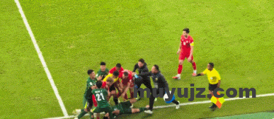 480bc584g00t2sf7l02kmd000ar004om