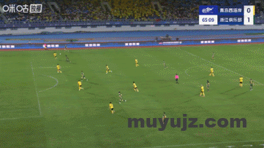 95489169g00t2j4hi062rd000ap0061g