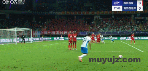 d319a846g00t2w3020294d000dv006qm