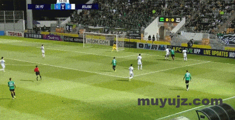 f858ef3bg00t4l2nw01vqc000dc006tc-1