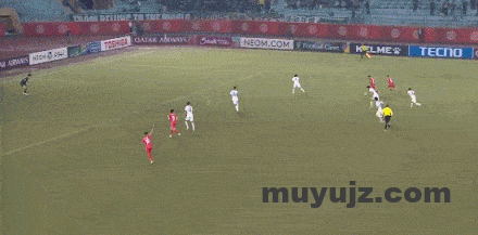 亚冠-国安遭绝杀1-2河内提前出局 林良铭破门张玉宁失单刀